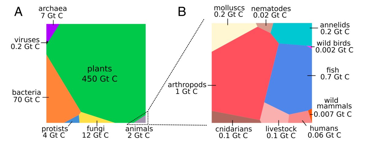 électricité et mathématiques